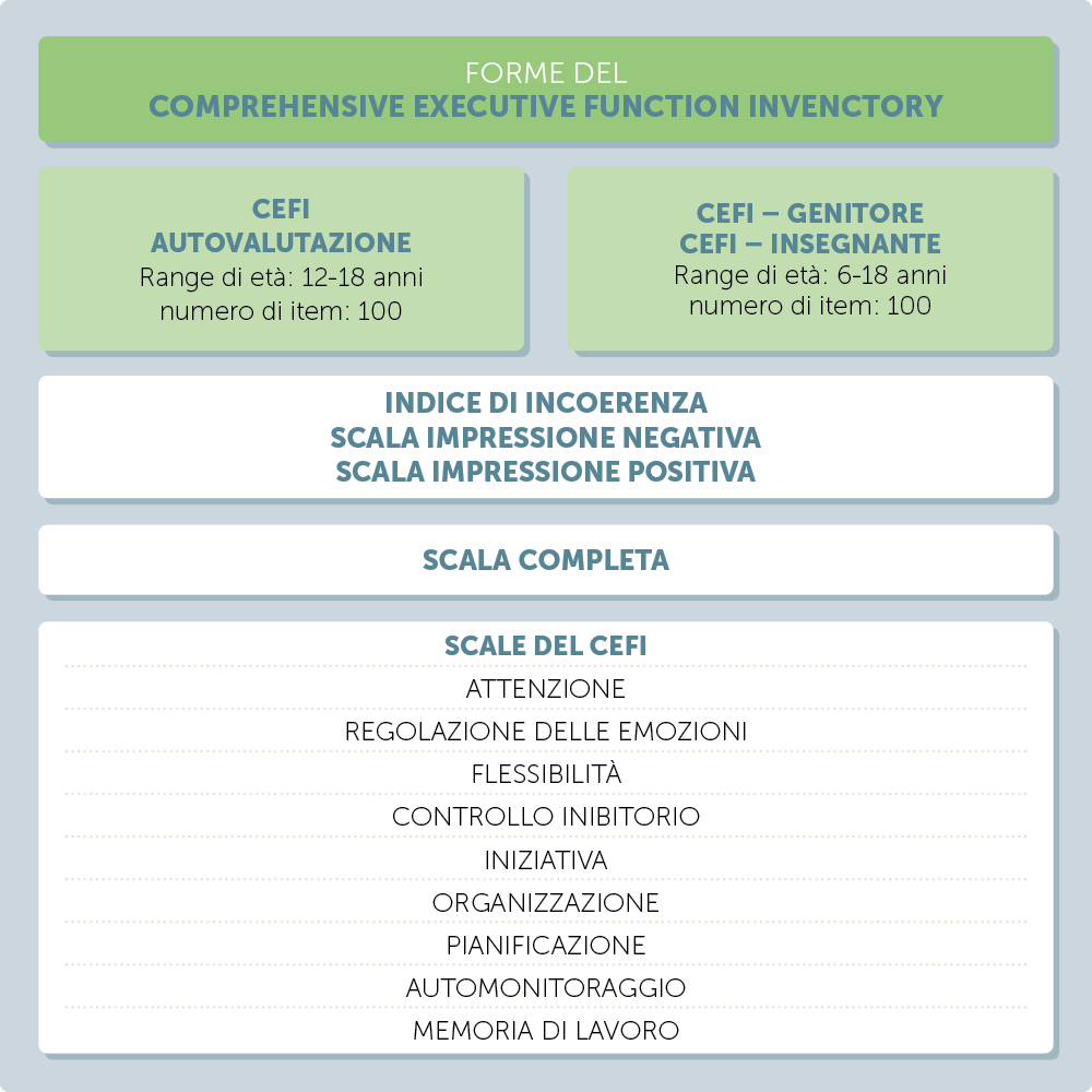 Tabella riassuntiva Forme del Comprehensive executive invenctory (CEFI)